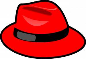 Der rote Hut nach Edward de Bono
